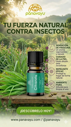Aceite Esencial de Citronela