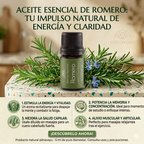 Aceite Esencial de Romero