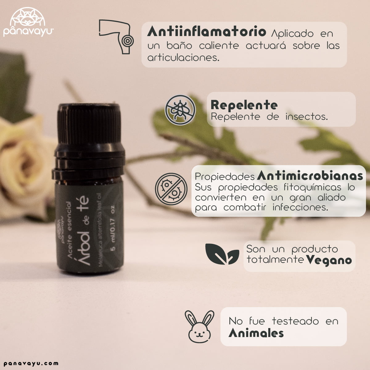 Aceite Esencial árbol de té 2