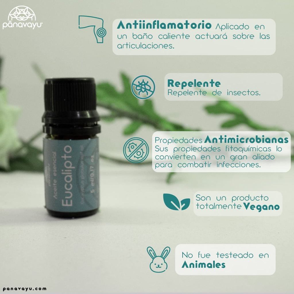 Aceite Esencial de Eucalipto 2