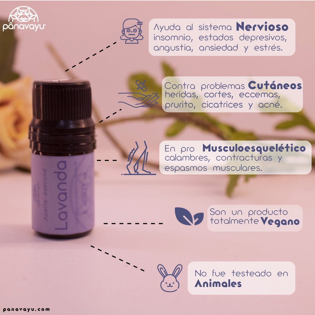 Aceite Esencial de Lavanda 2