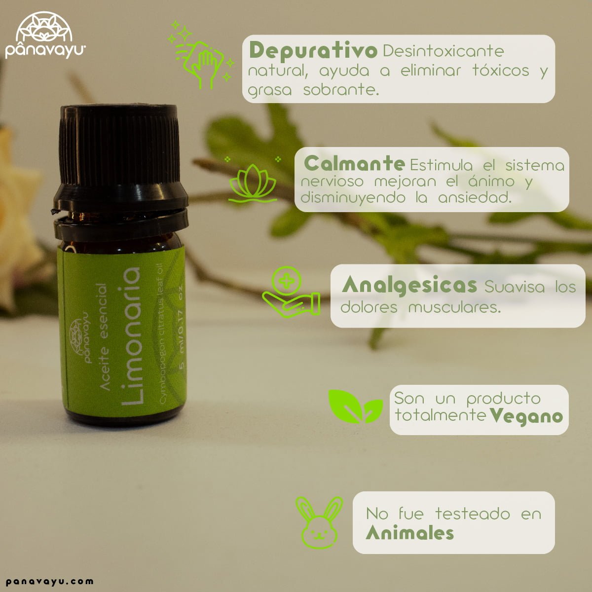 Aceite Esencial de Limonaria 2