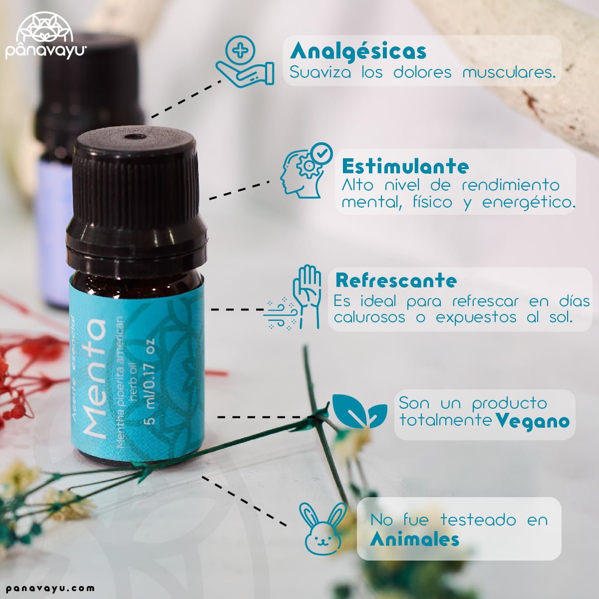 Aceite Esencial de Menta 2