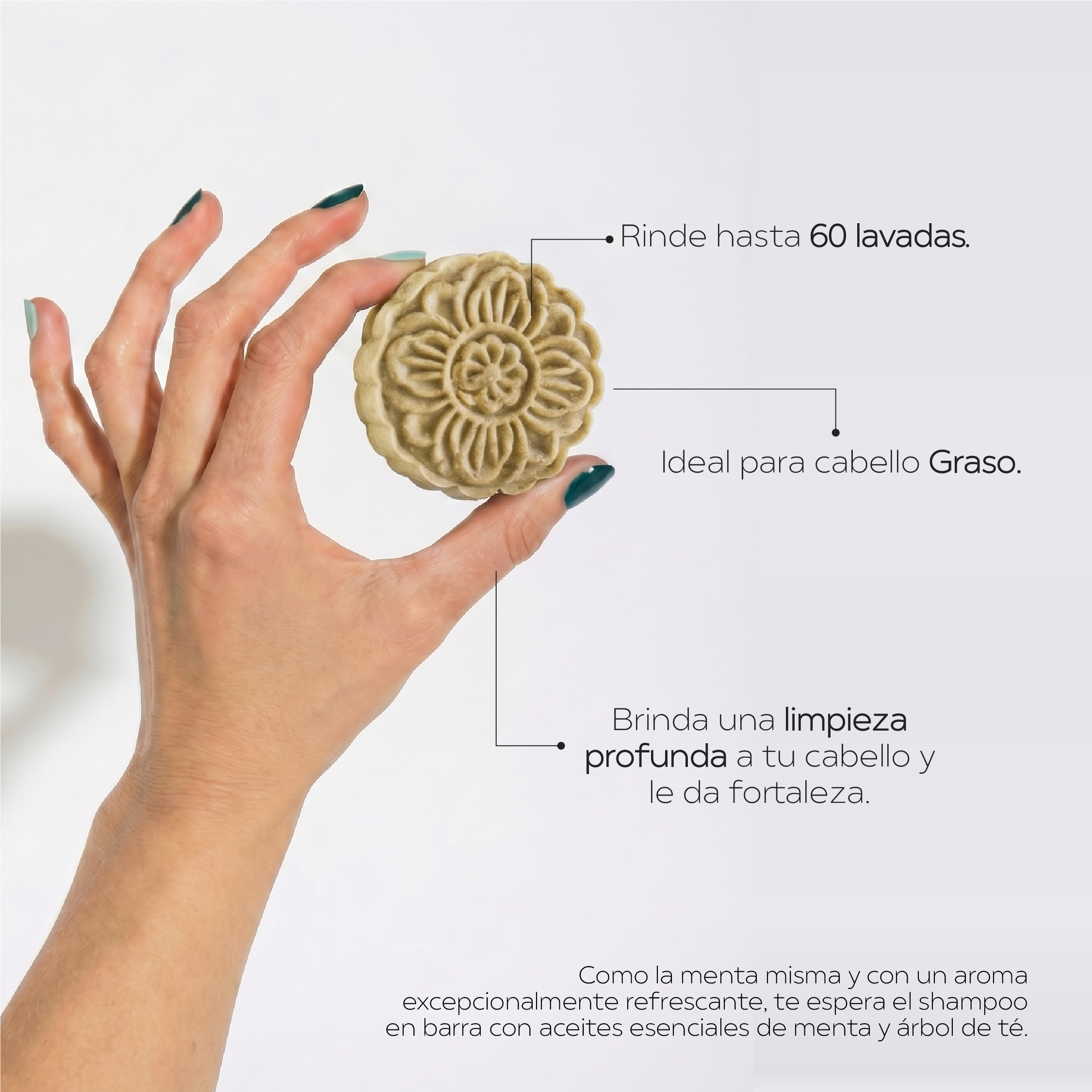 Shampoo Sólido Control Grasa & Anticaspa 🌿 Menta & Árbol de Té