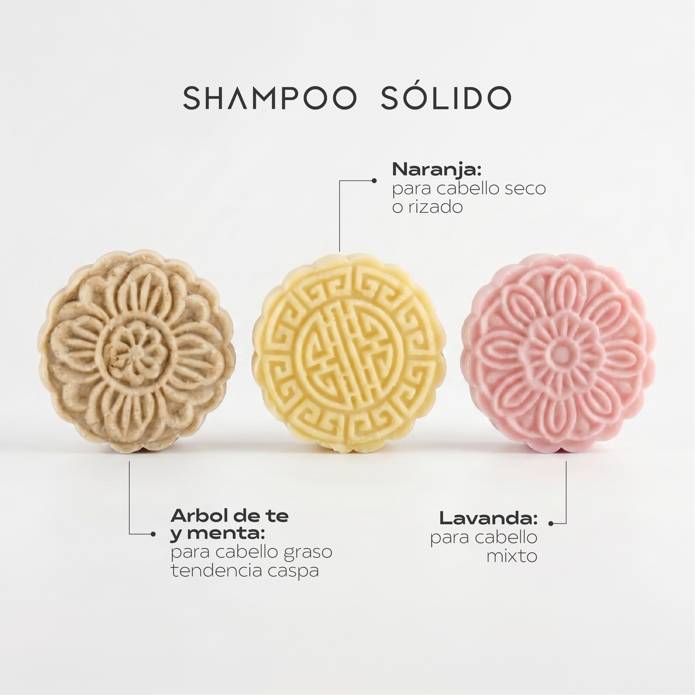 Dúo Shampoo Sólido + Acondicionador