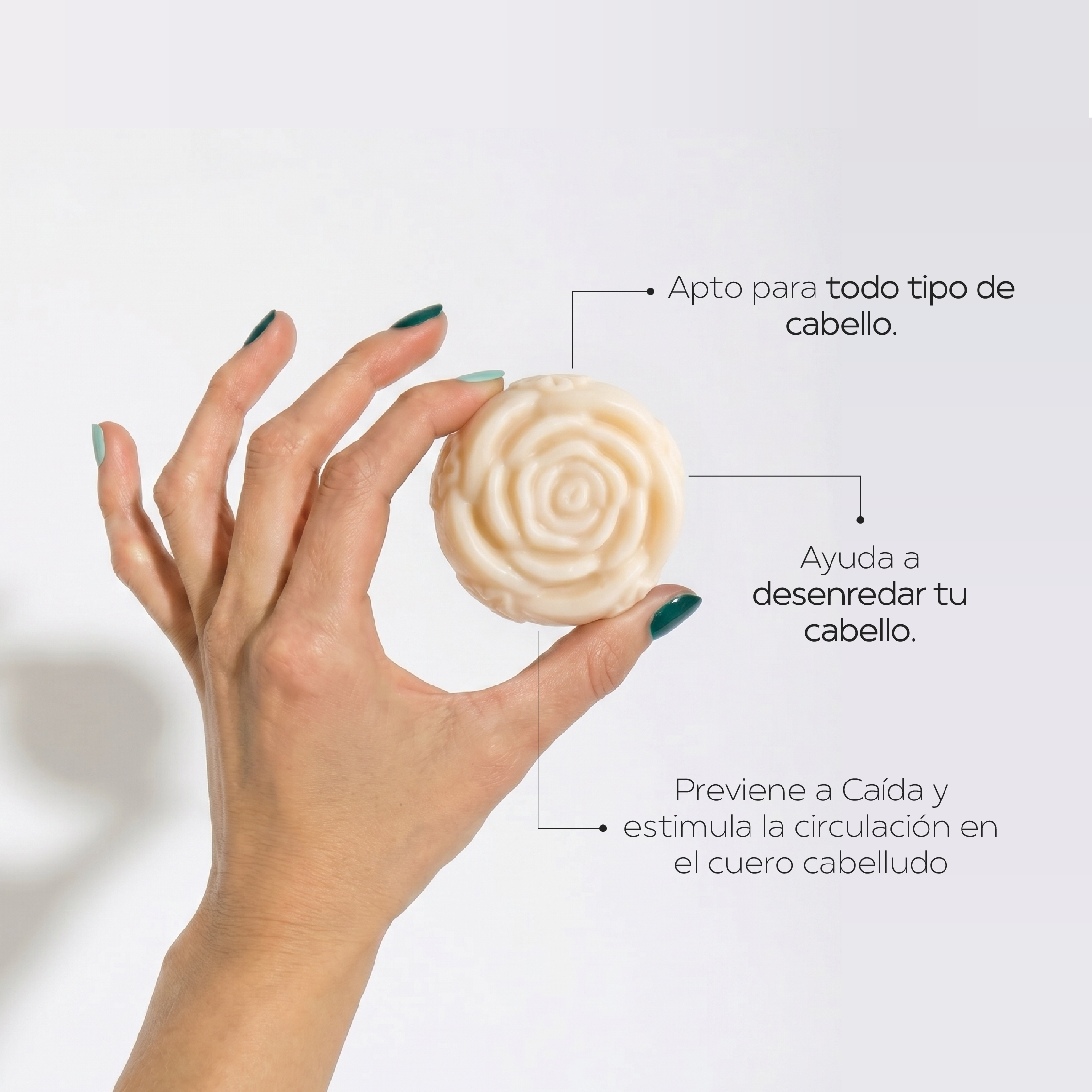 Dúo Shampoo Sólido + Acondicionador