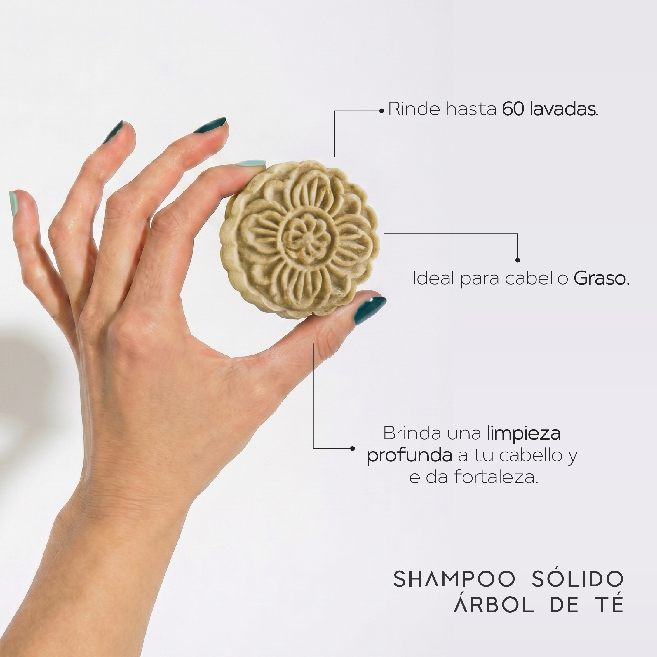 Kit Anticaspa & Control Grasa