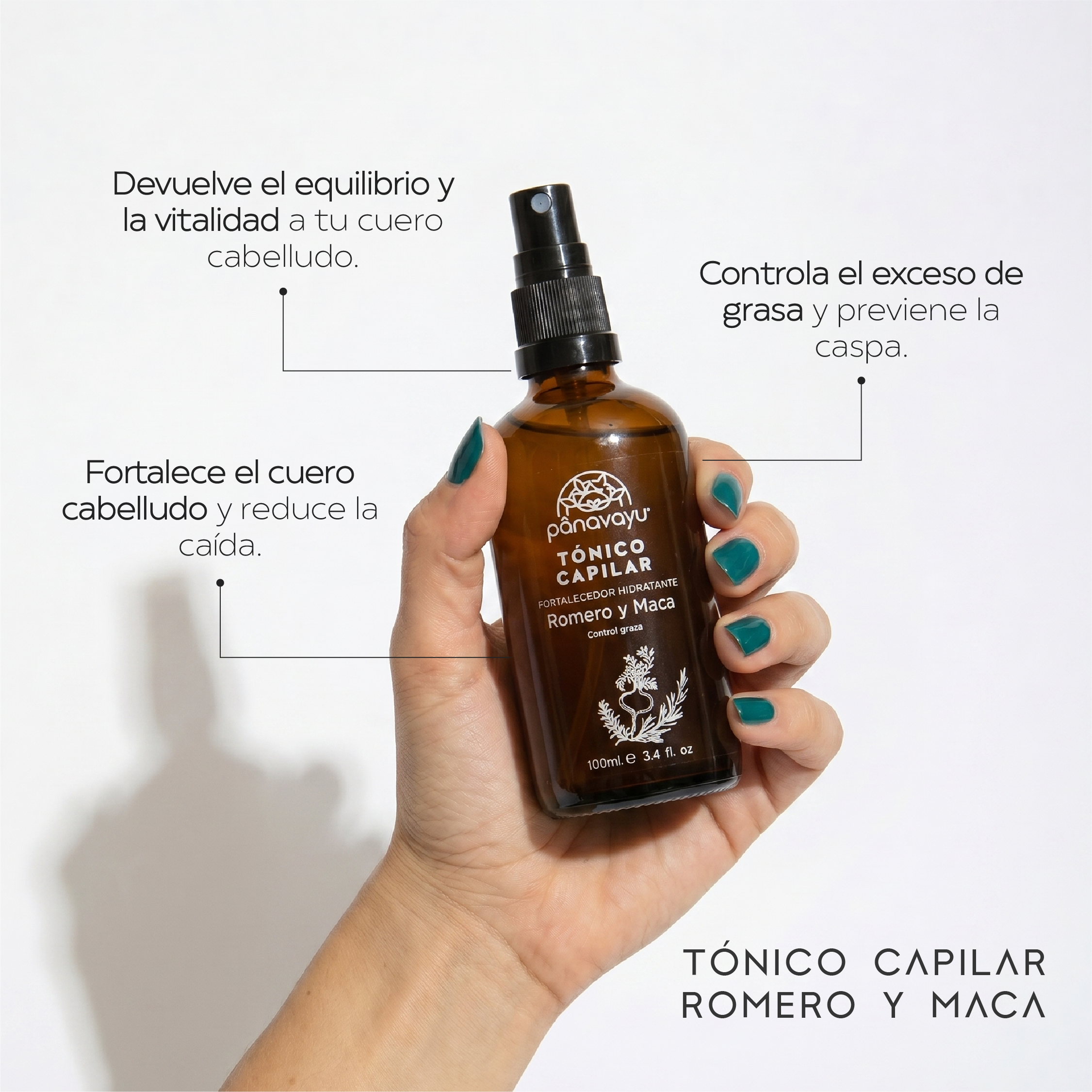 Kit Anticaspa & Control Grasa