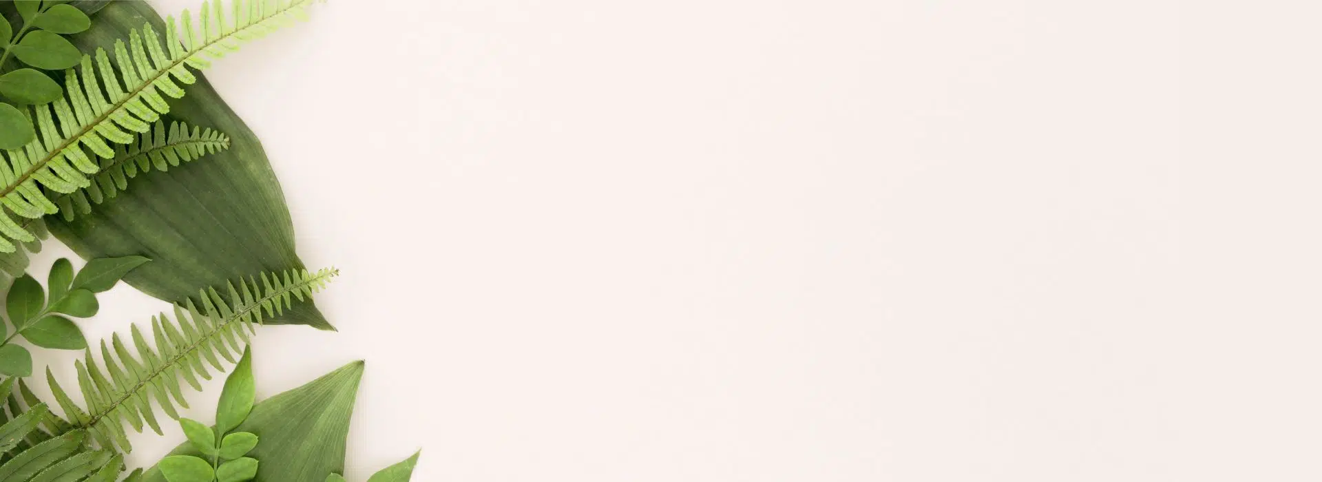 Cuidado Personal Natural