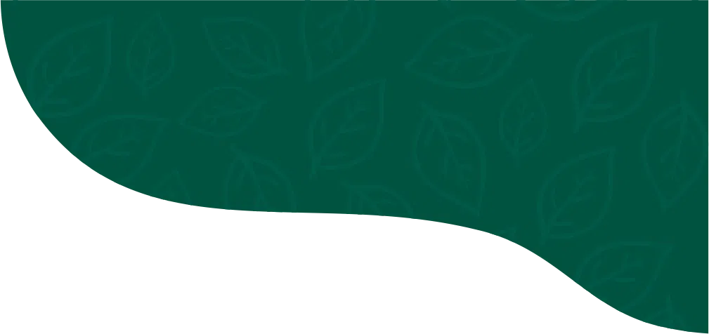 Cuidado Personal Natural