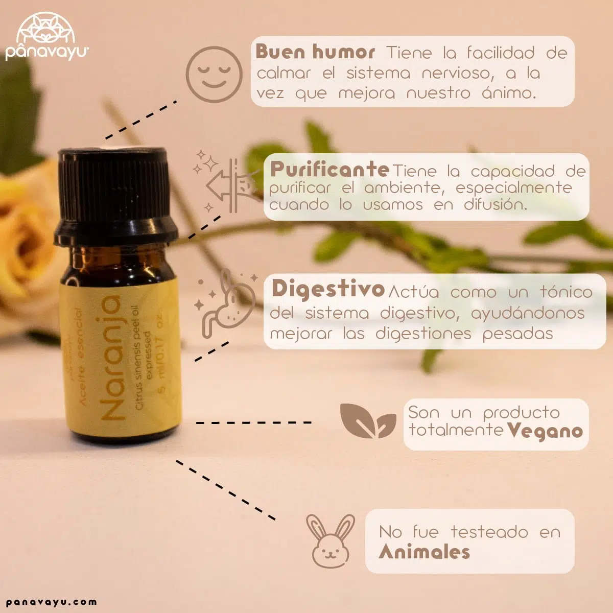 Aceite Esencial de Naranja - Image 2